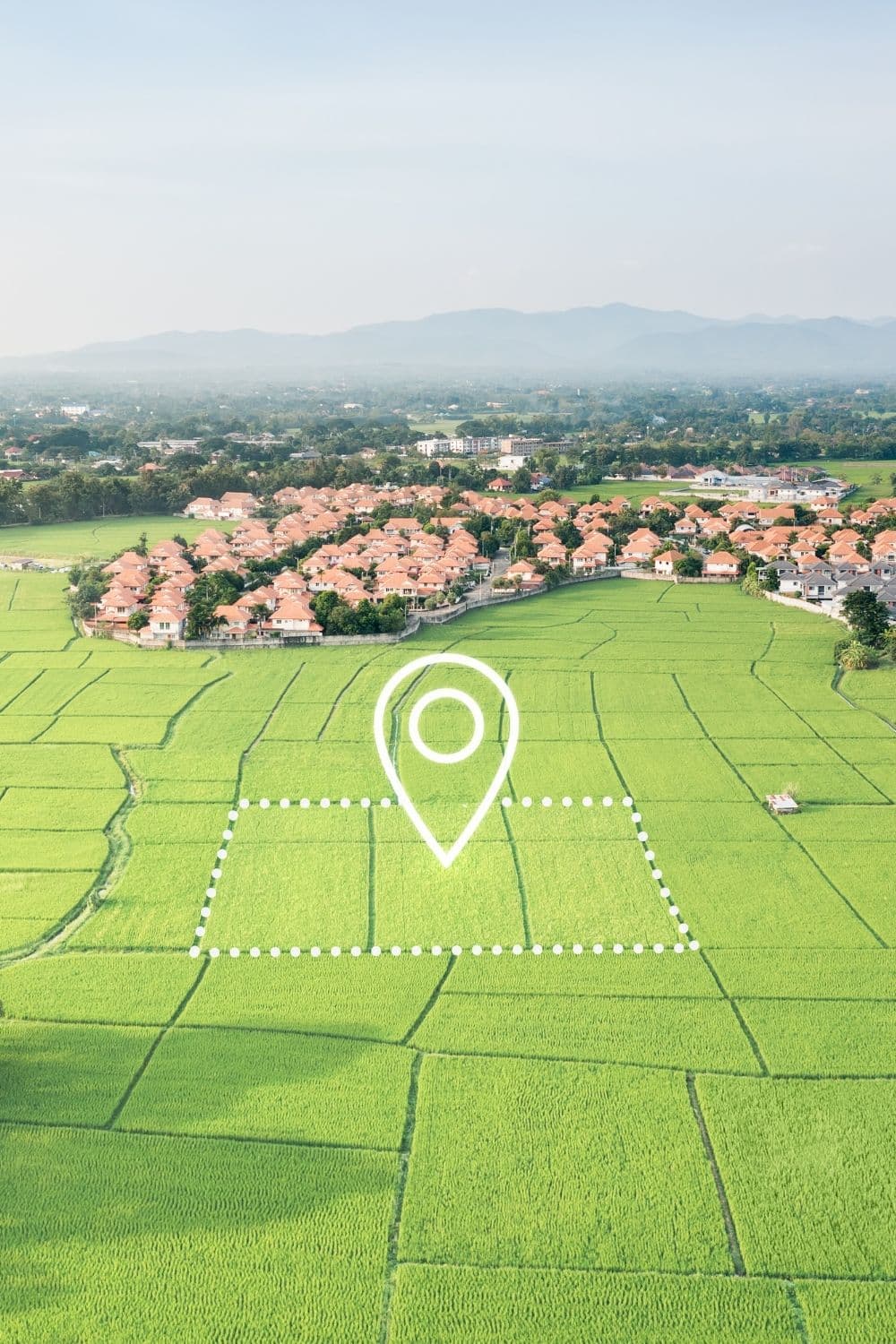 Dettaglio Primo Piano